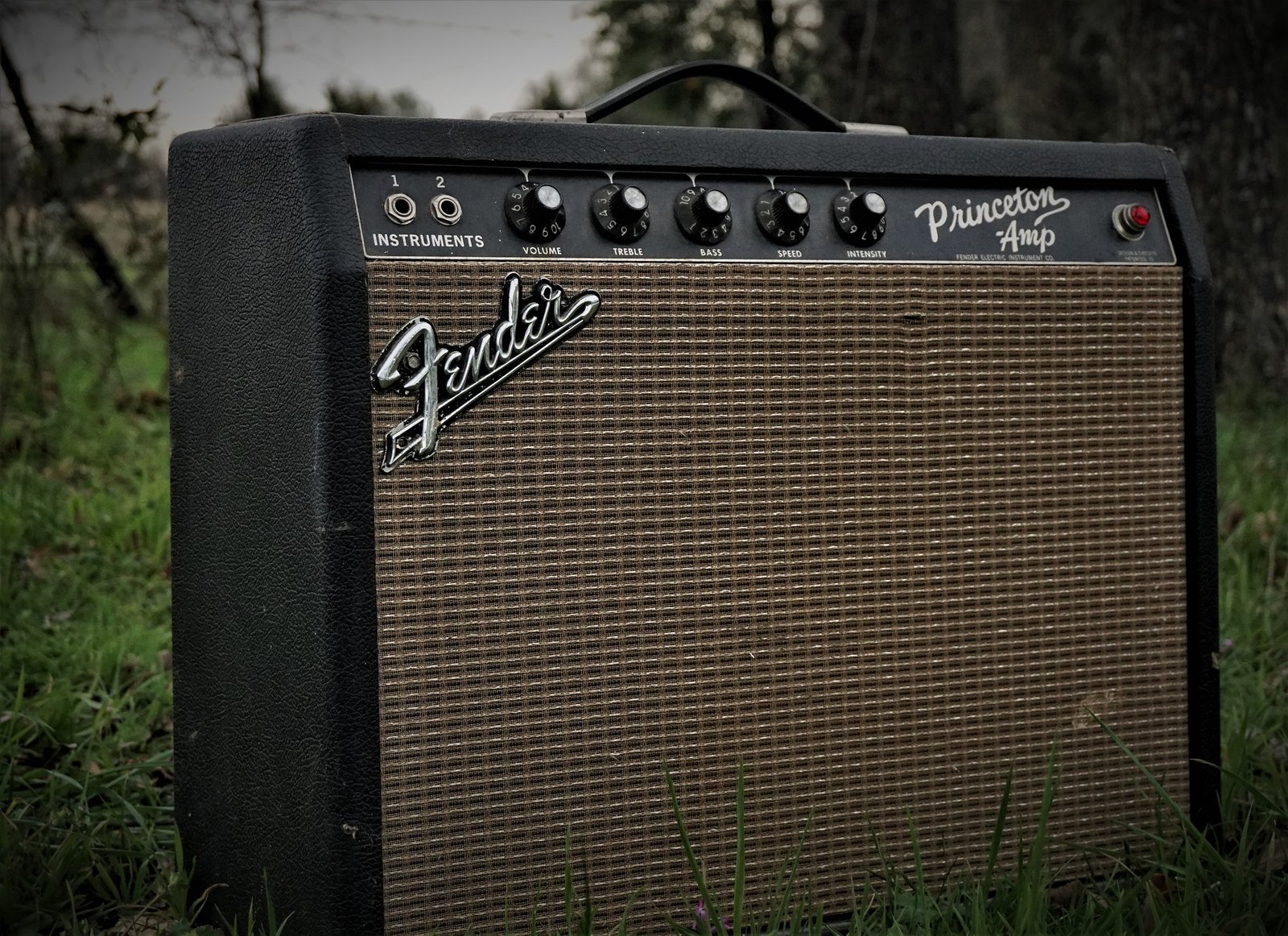 blues amp blues amp
