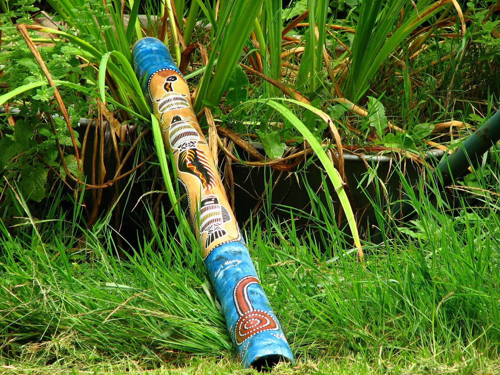 artwork on didgeridoos artwork on didgeridoos