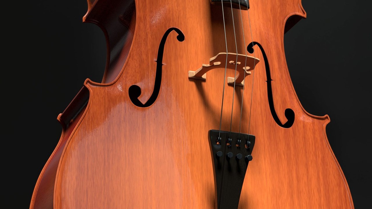 how to choose the right cello how to choose the right cello