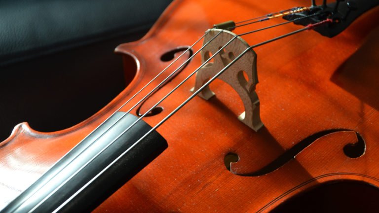 best beginner cellos