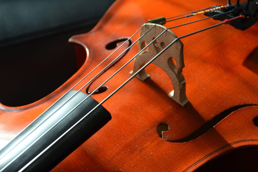 best beginner cellos
