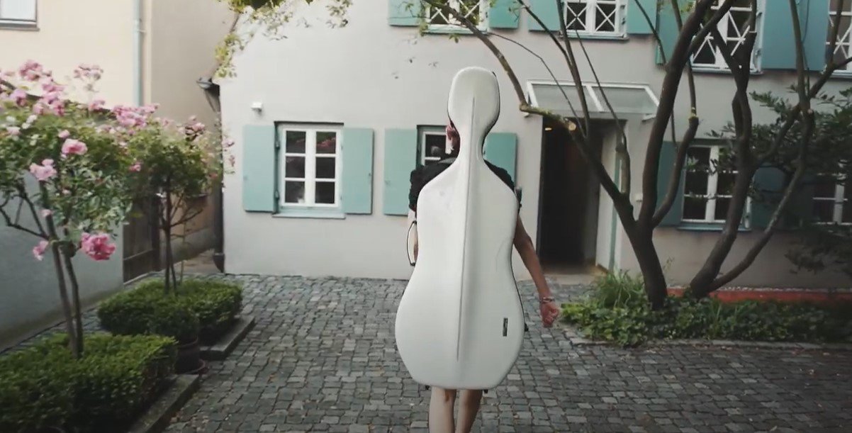 gewa cello case