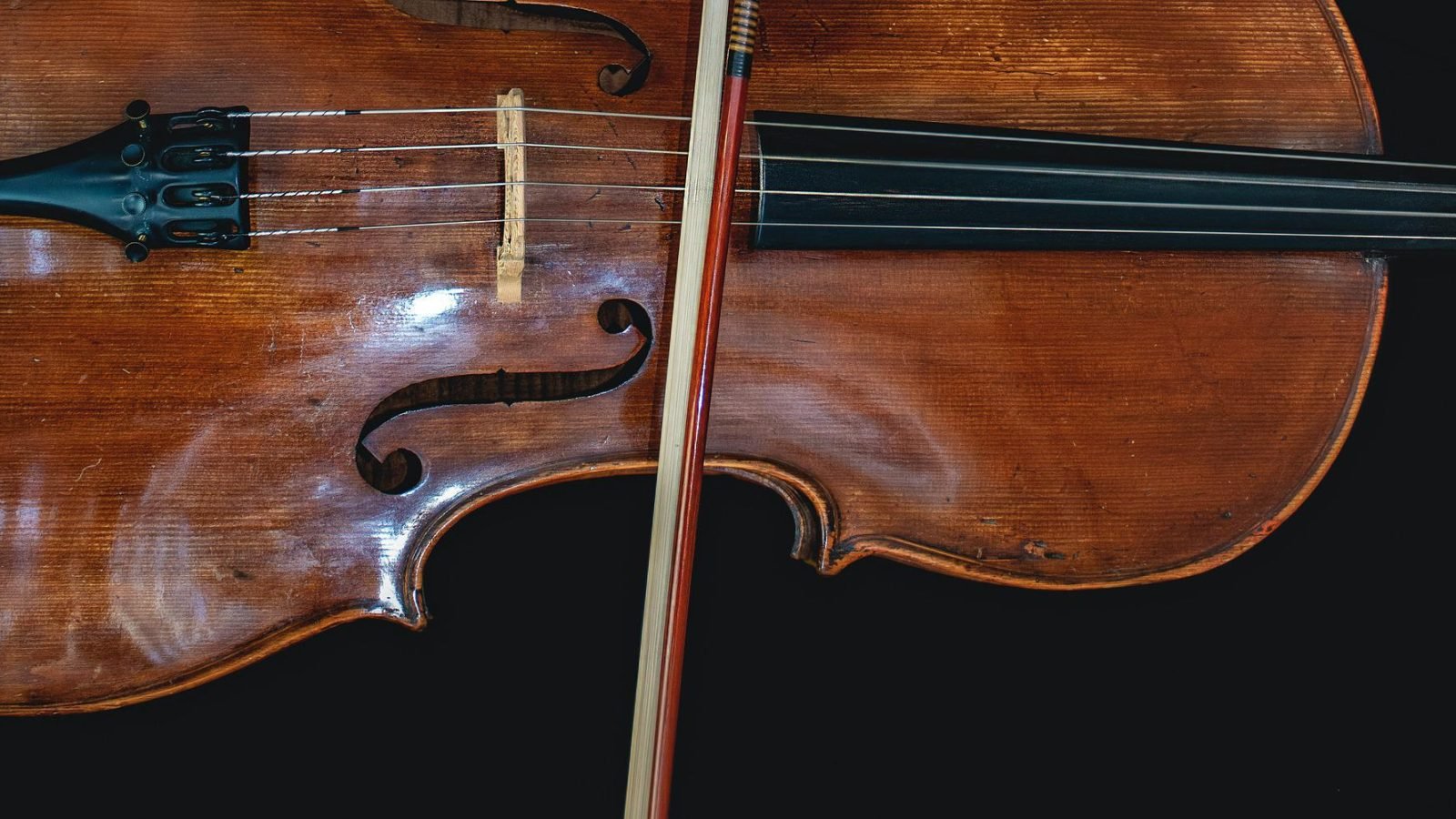 best cello bows