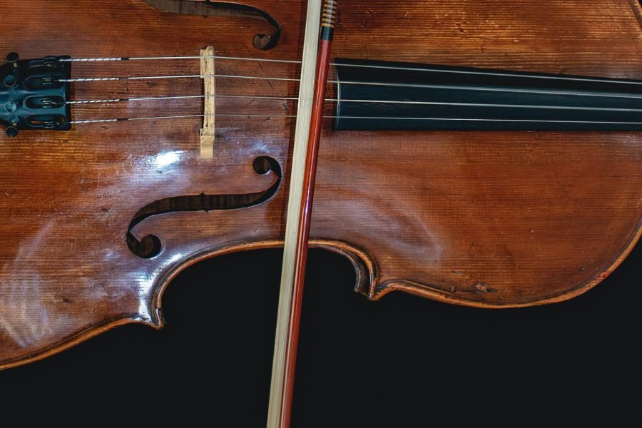 best cello bows