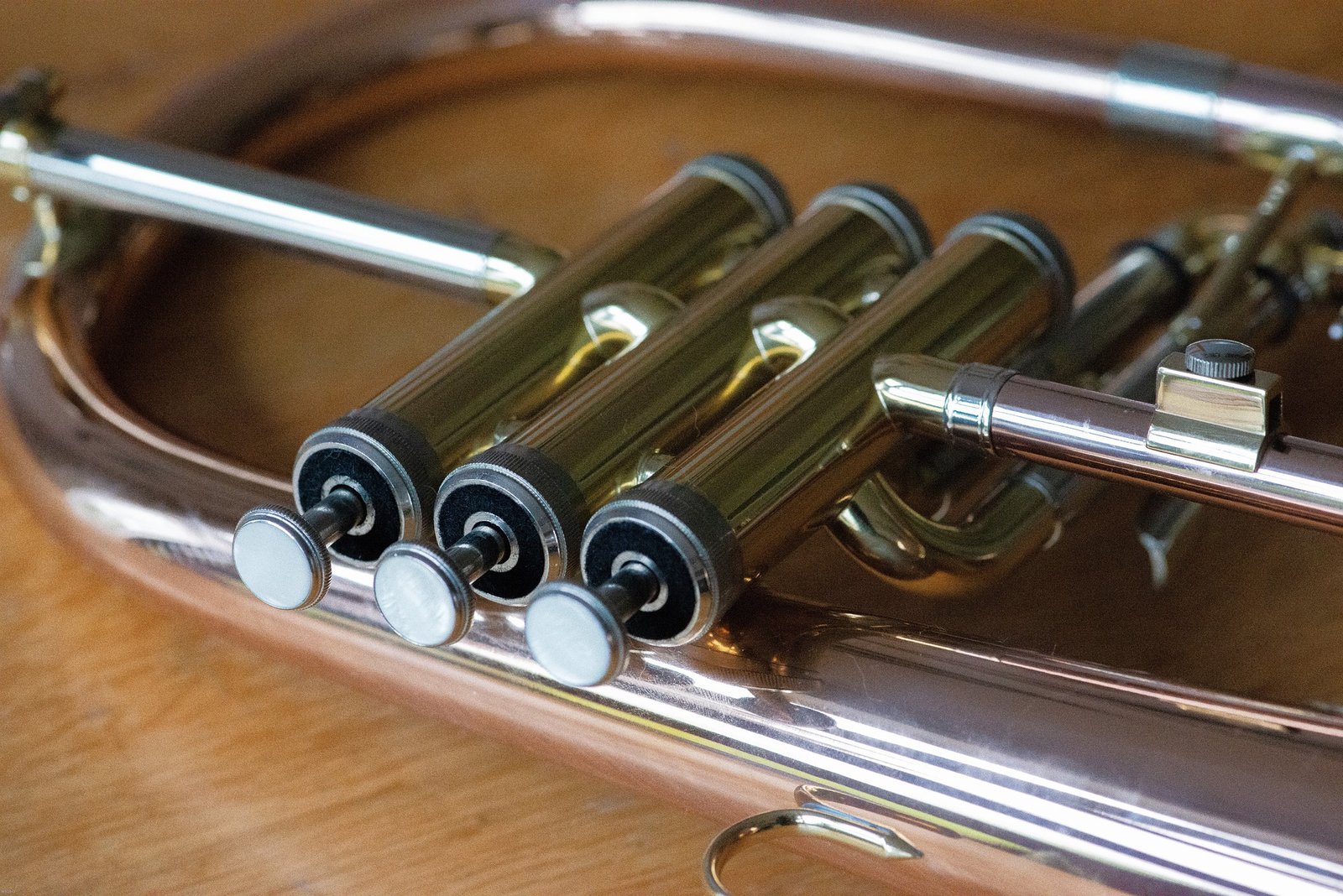 best rated flugelhorns best rated flugelhorns