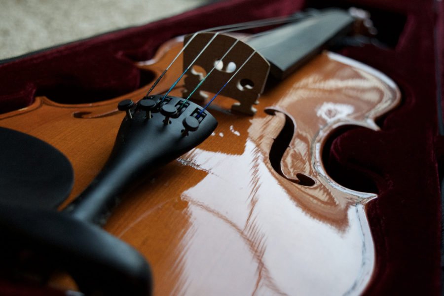 best violin bridges