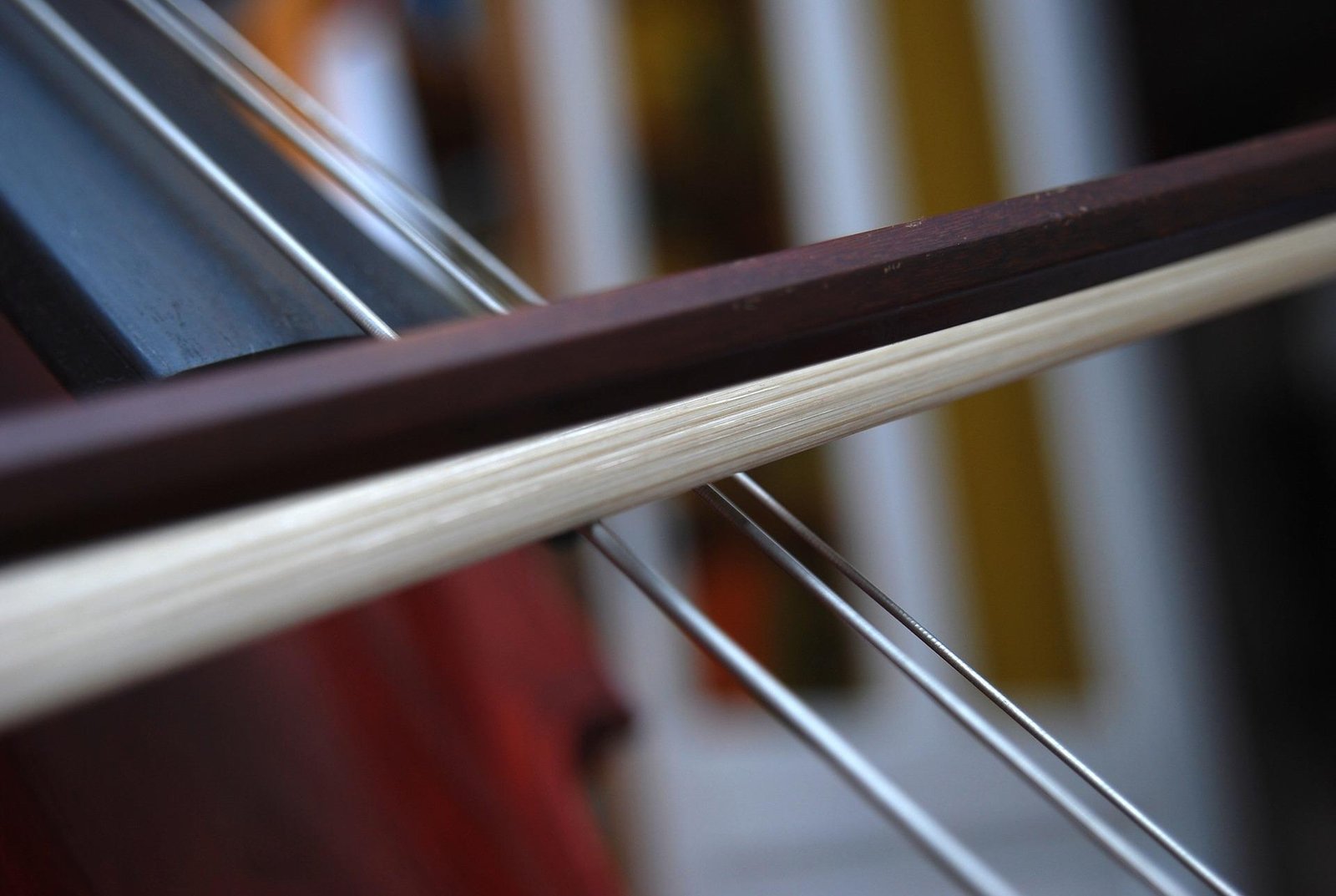 cello bow