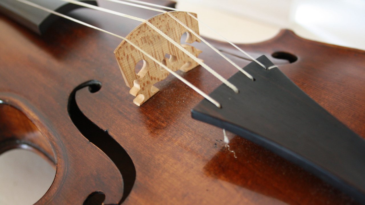 differences between a violin and cello differences between a violin and cello