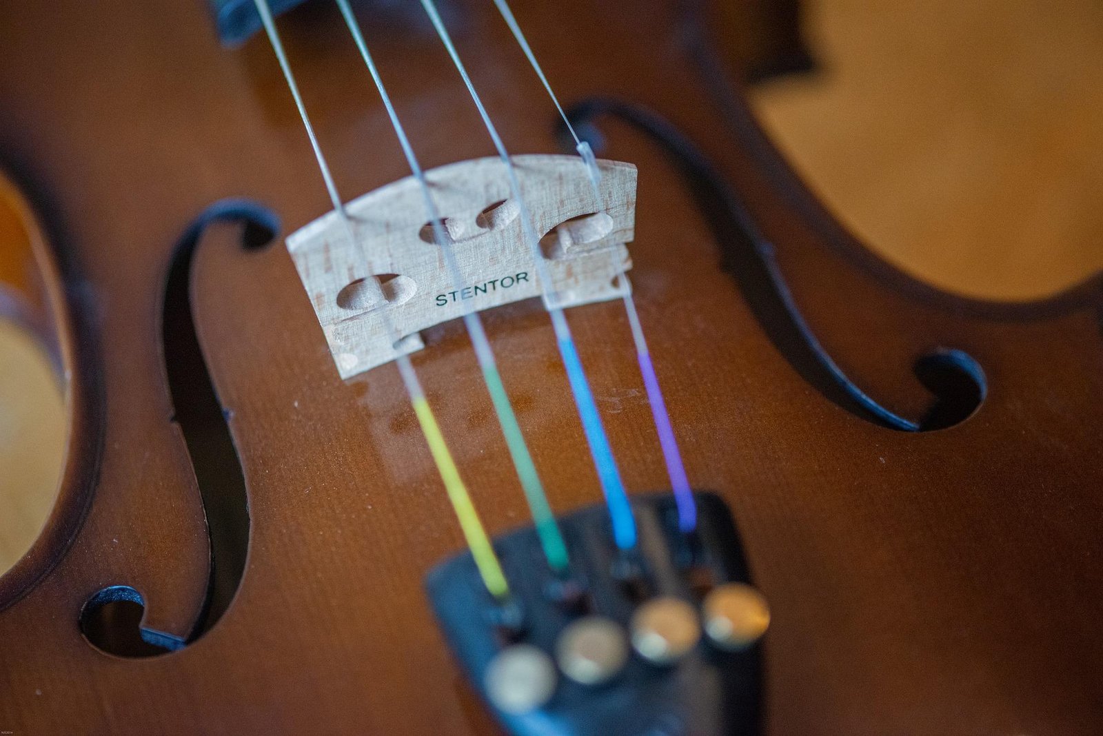 violin bridge violin bridge