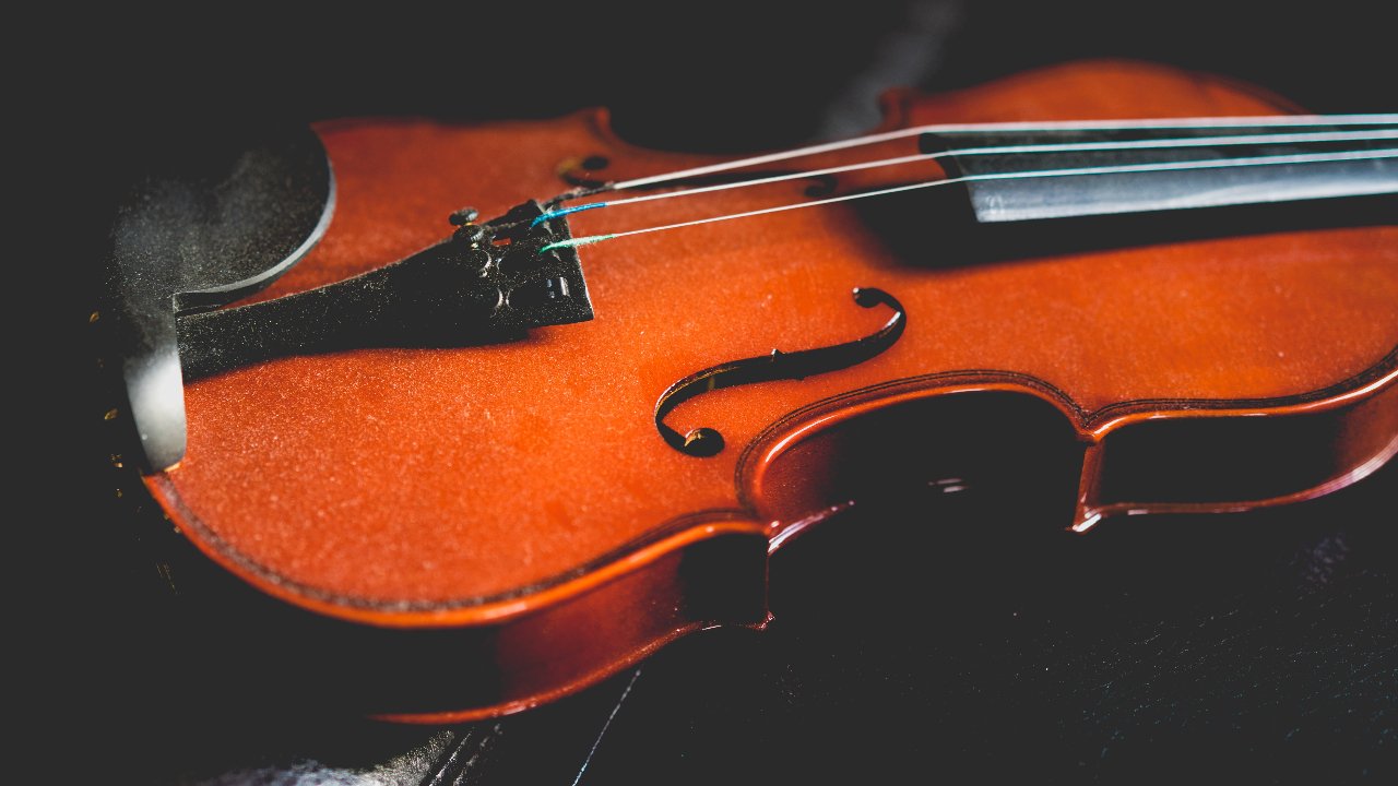 what is a violin what is a violin