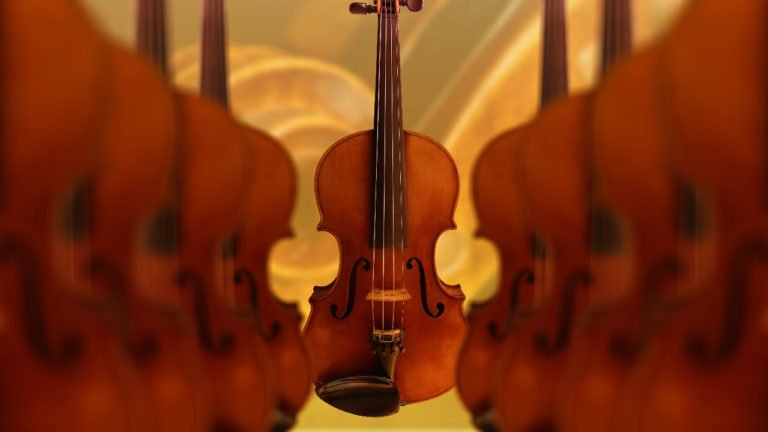 viola vs violin