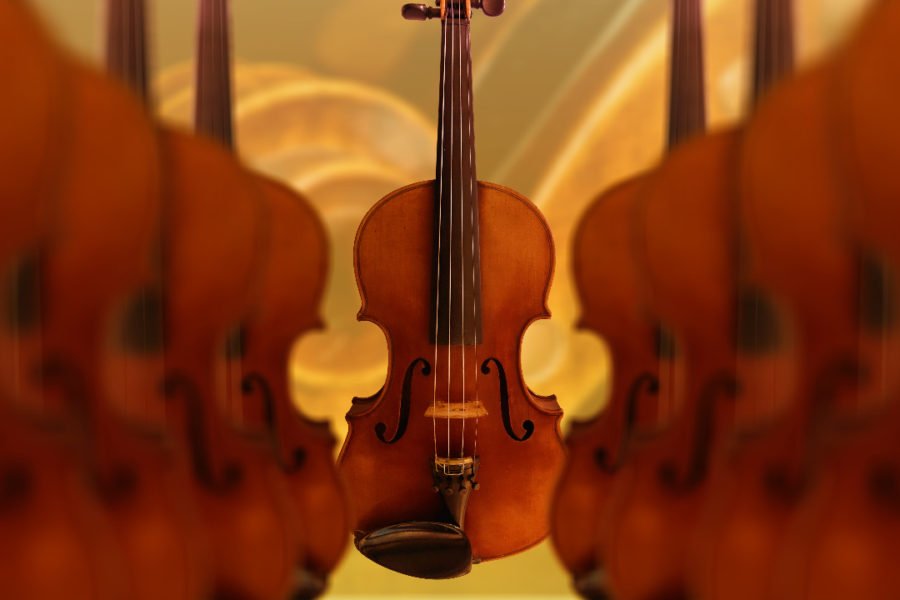viola vs violin