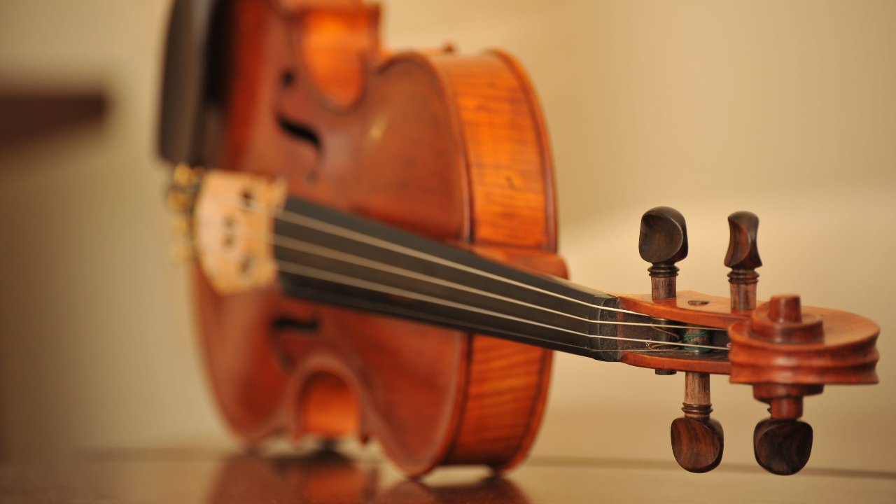 violin violin