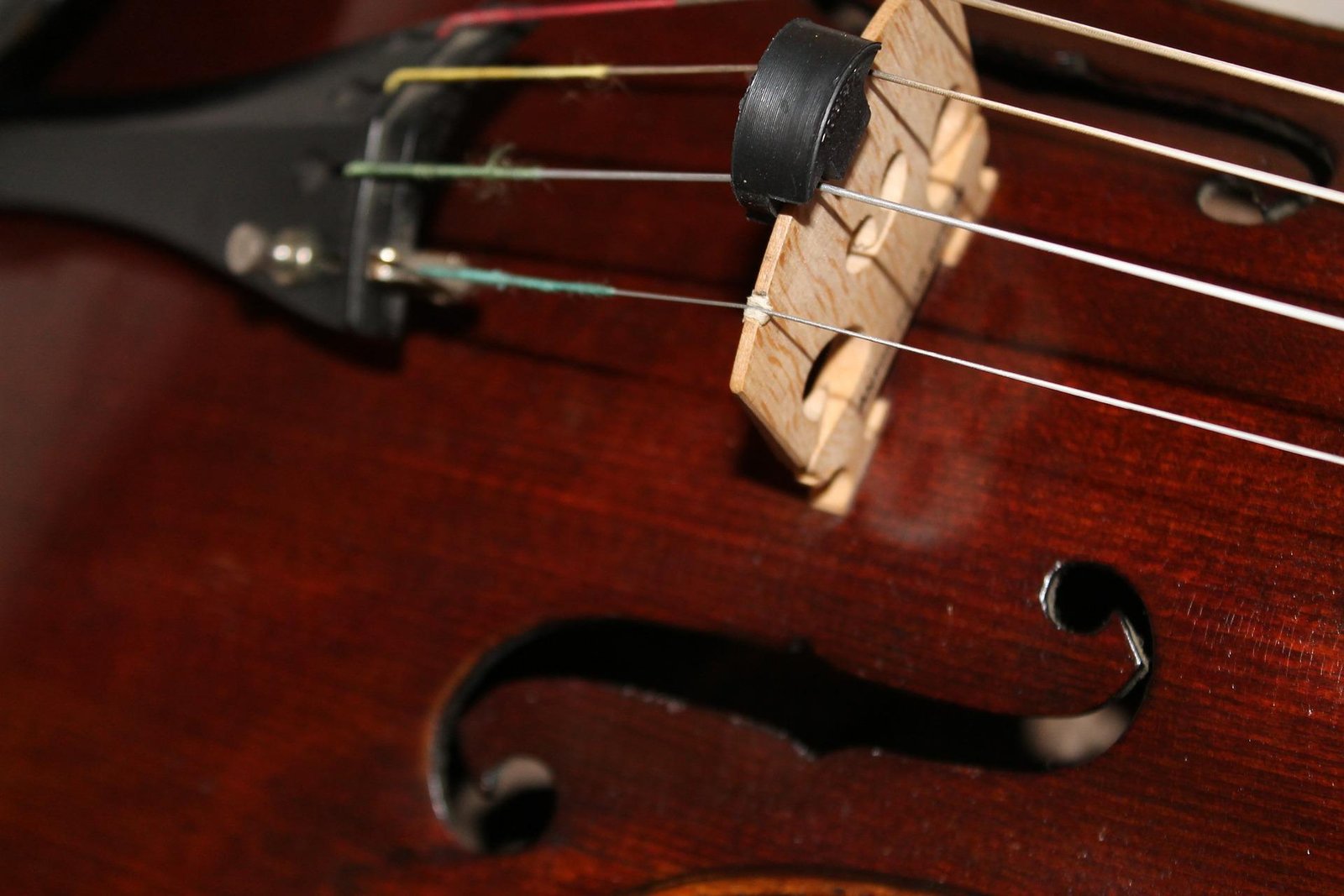 who is the viola best for who is the viola best for