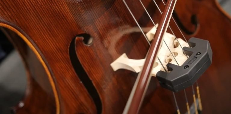 best cello mute