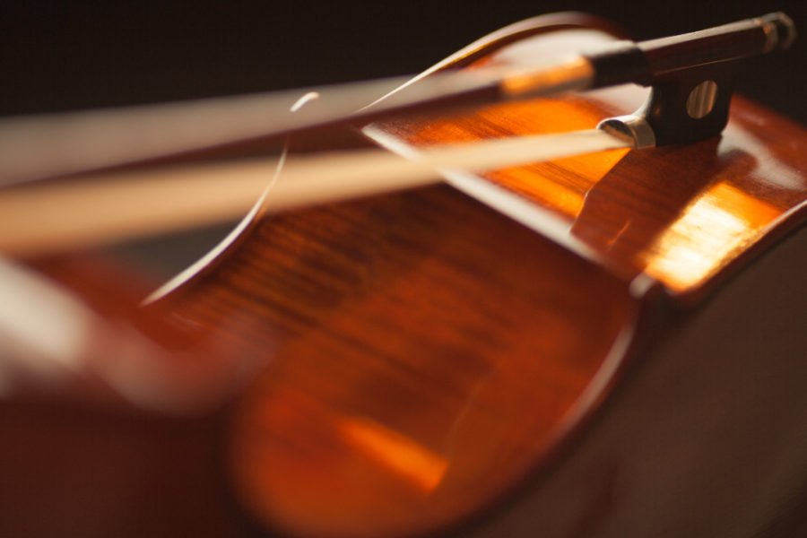 best violin bows