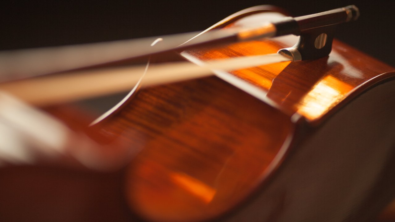 best violin bows