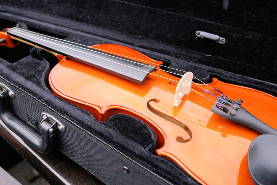 best violin cases