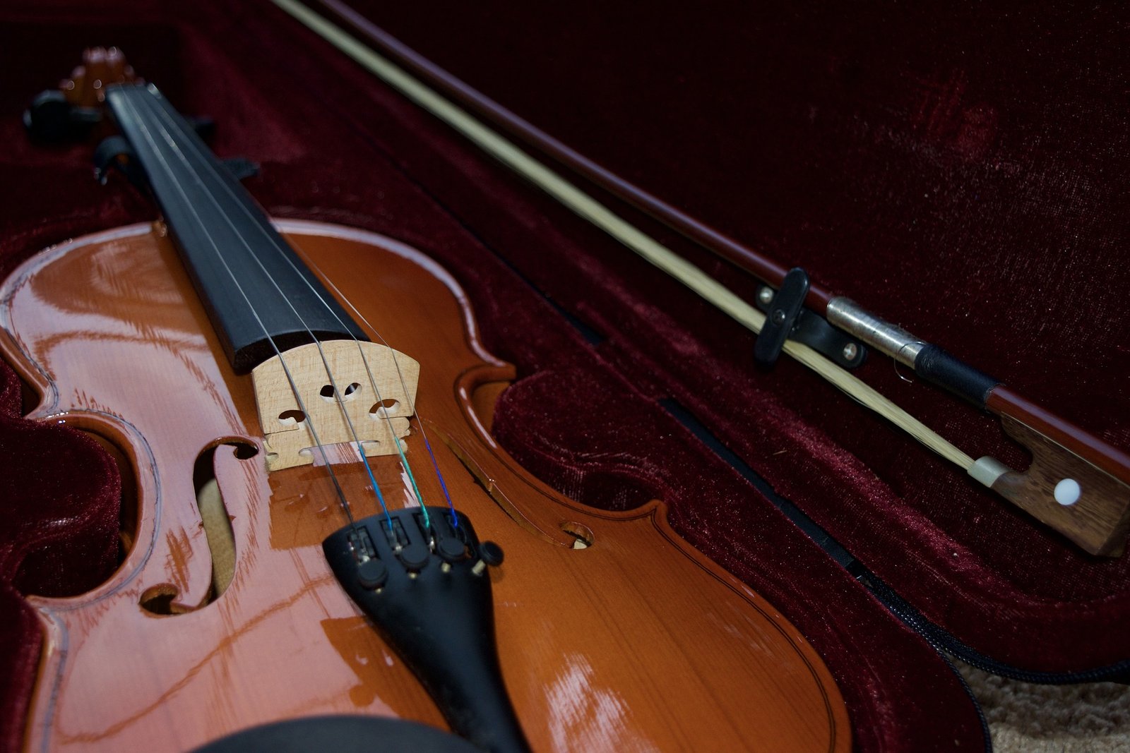 how to choose the right violin case how to choose the right violin case