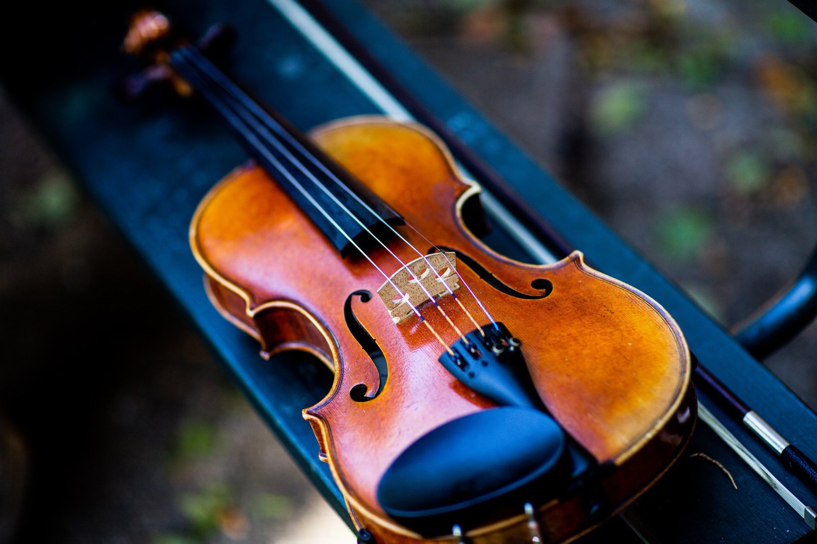 violin for beginners violin for beginners
