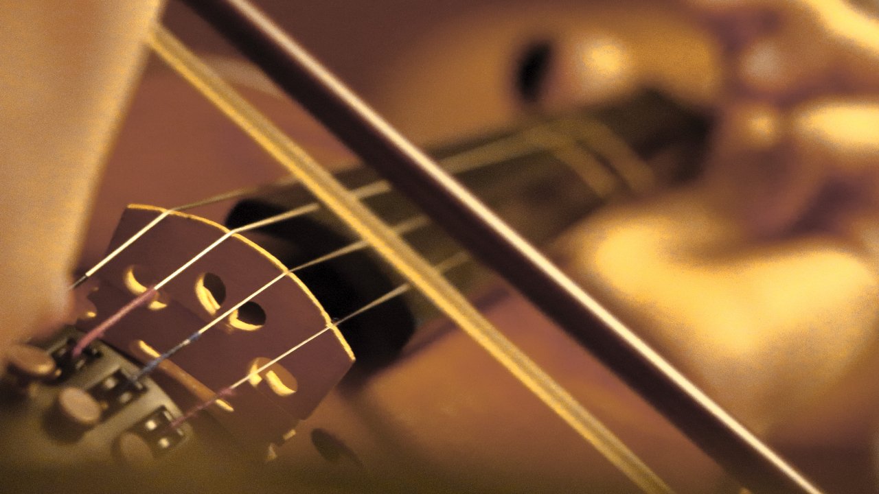 what to consider when choosing a violin bow what to consider when choosing a violin bow