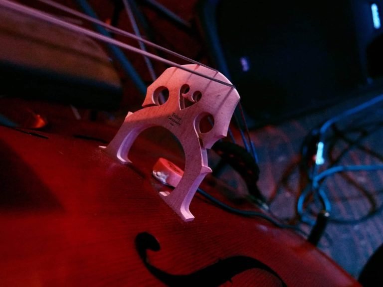 best cello bridge