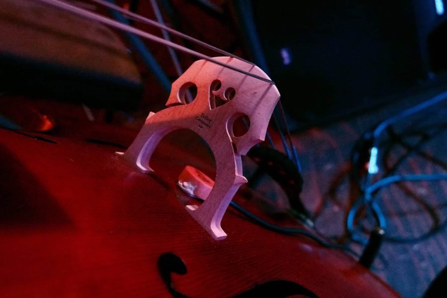 best cello bridge