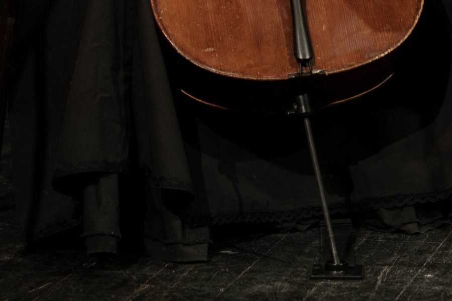 best cello endpin