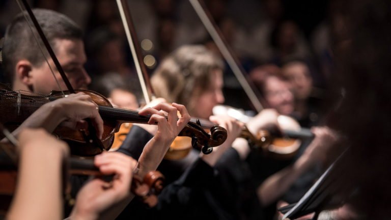 best professional violins