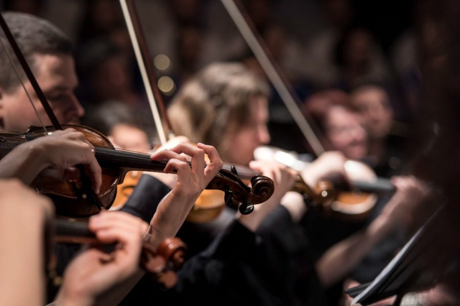 best professional violins