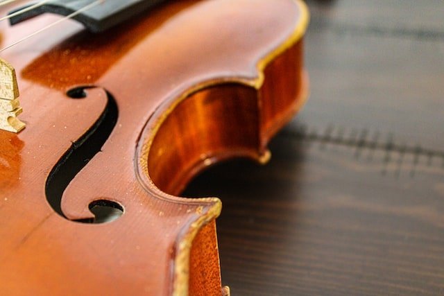 body of violin materials body of violin materials