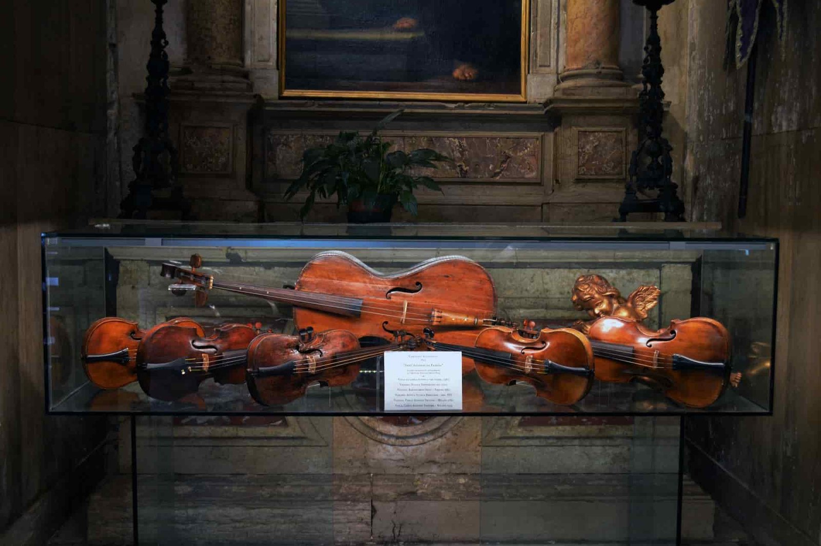 history of the cello history of the cello