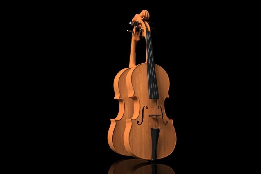 what are violins made of