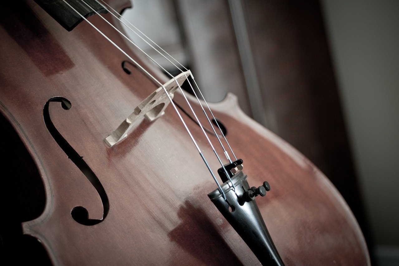 best professional cellos best professional cellos