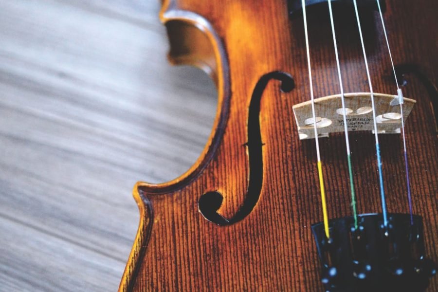 best violin strings