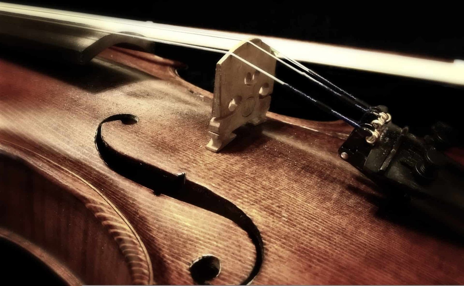 choosing the right violin strings choosing the right violin strings
